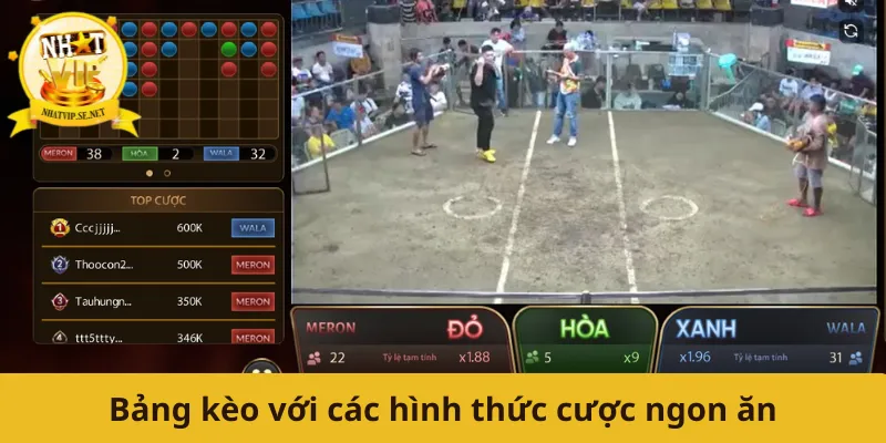 Bảng kèo với các hình thức cược ngon ăn