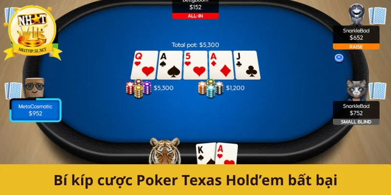 Bí kíp cược Poker Texas Hold’em bất bại