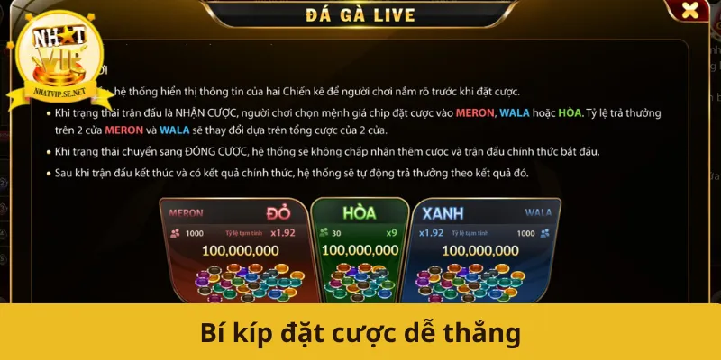 Bí kíp đặt cược dễ thắng