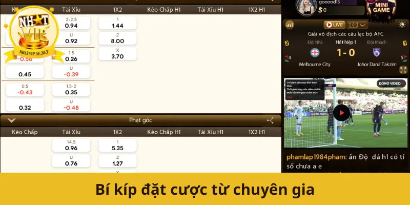 Bí kíp đặt cược từ chuyên gia