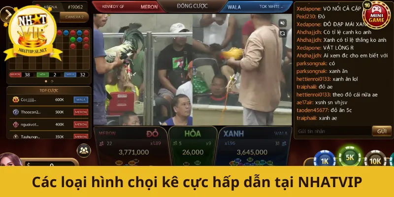 Các loại hình chọi kê cực hấp dẫn tại NHATVIP