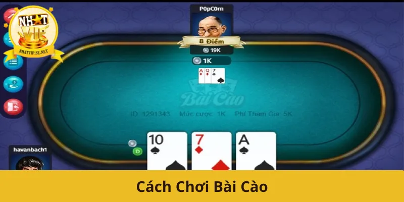 Cách Chơi Bài Cào