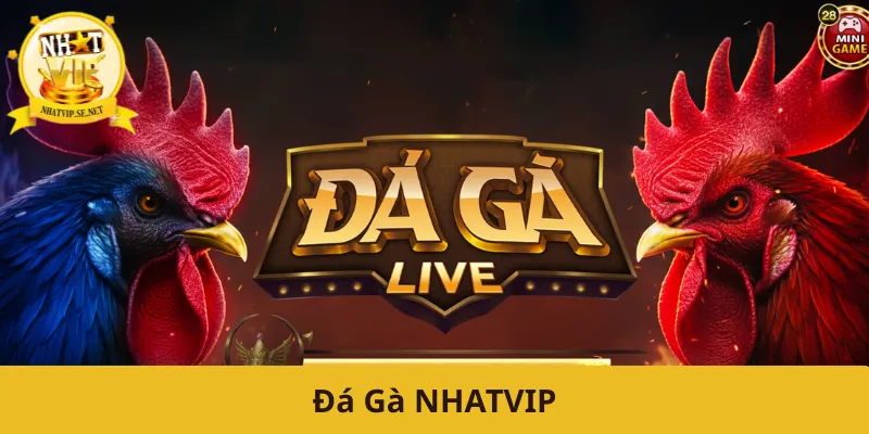 Đá Gà NHATVIP
