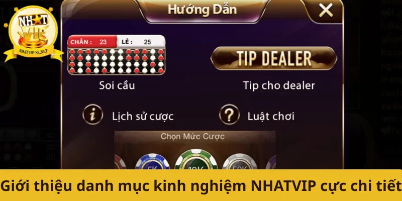 Giới thiệu danh mục kinh nghiệm NHATVIP cực chi tiết