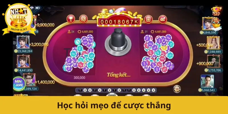 Học hỏi mẹo để cược thắng