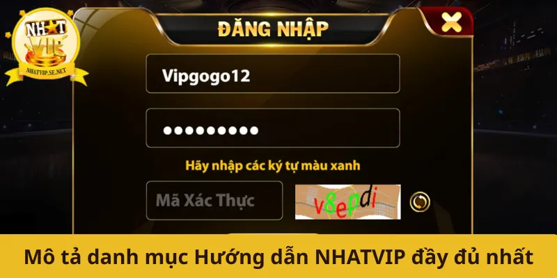 Mô tả danh mục Hướng dẫn NHATVIP đầy đủ nhất