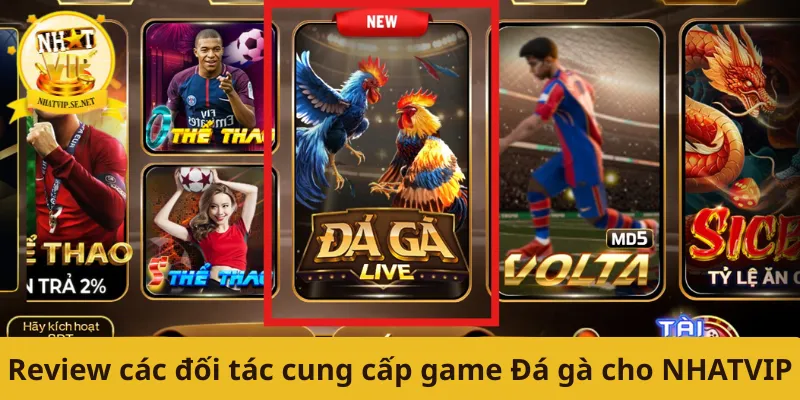 Review các đối tác cung cấp game Đá gà cho NHATVIP