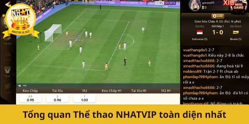 Tổng quan Thể thao NHATVIP toàn diện nhất