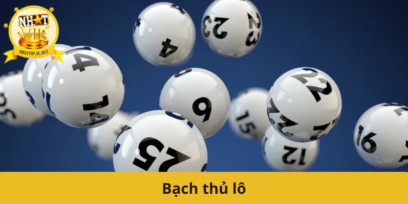 bạch thủ lô