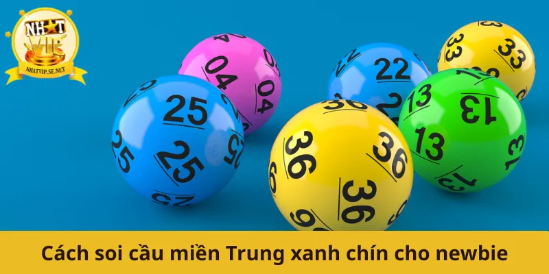 Cách soi cầu miền Trung xanh chín cho newbie