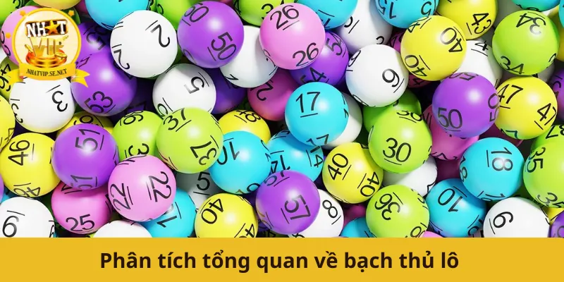 Phân tích tổng quan về bạch thủ lô